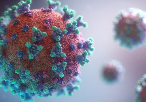 Afbeelding van het coronavirus